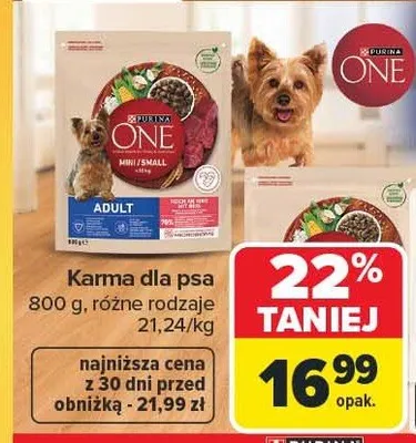 Karma dla psa kurczak s BRIT PREMIUM AND NATURE promocja w Carrefour
