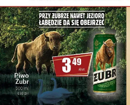 Piwo Żubr promocja w Premium Nasz Sklep