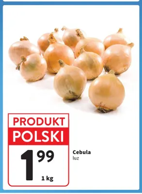 Cebula polska promocja w Intermarche