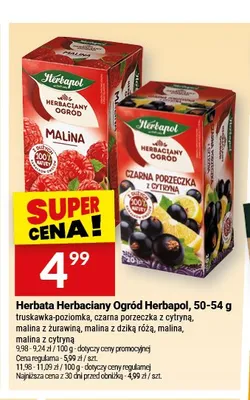 Herbata owocowa Herbapol Herbaciany Ogród malina z dziką różą promocja w Twój Market