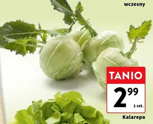 Kalarepa promocja w Intermarche