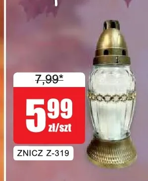Znicz Z-319 promocja w Bingo