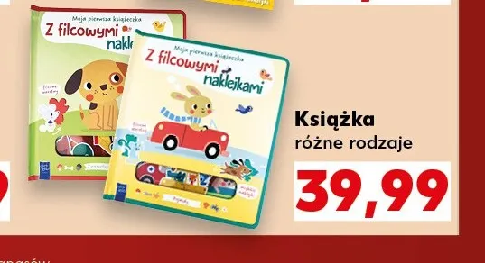Książka promocja w Kaufland
