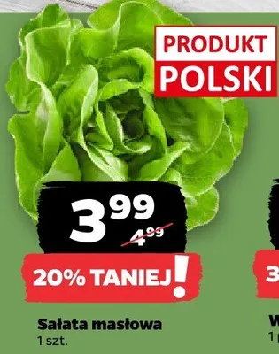 Sałata masłowa polska promocja w Netto
