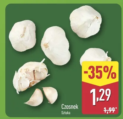Czosnek morado promocja w Aldi