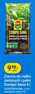 Ziemia do roślin zielonych i palm promocja w Castorama