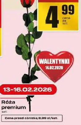 Róża premium promocja w Supeco