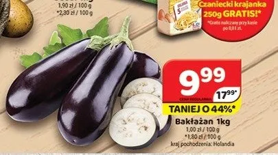 Bakłażan Holandia promocja w Delfin