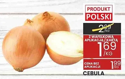 Cebula promocja w Wafelek