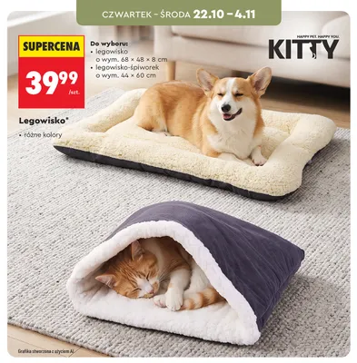 Legowisko Kitty 68x48x8 cm promocja w Biedronka