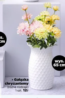 Gałązka chryzantemy 65 cm, różne rodzaje promocja w Netto