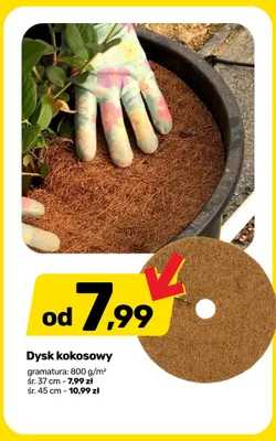 Dysk kokosowy promocja w Bricomarche