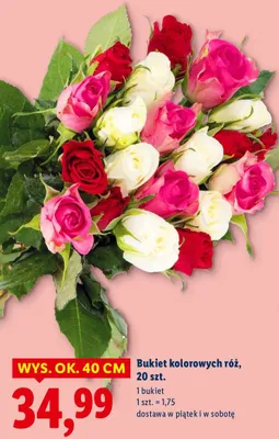 Bukiet kolorowych róż 20 szt. promocja w Lidl