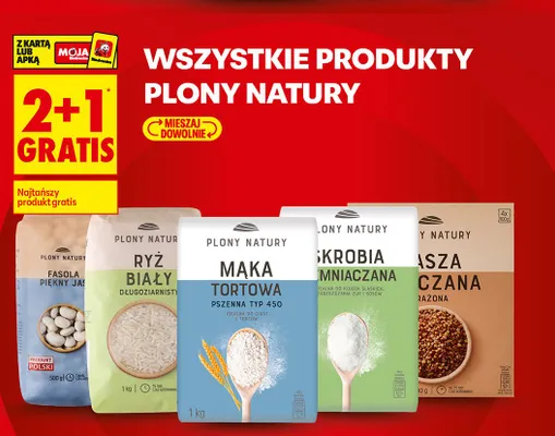 Kasza gryczana prażona Plony Natury 4-pak promocja w Biedronka