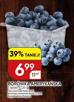 Borówka amerykańska promocja w Chata Polska