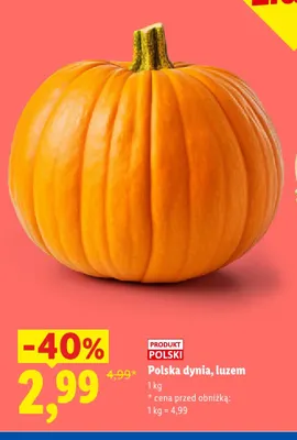 Dynia polska luzem promocja w Lidl