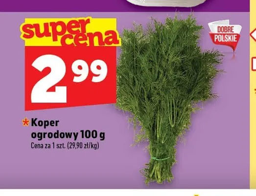 Koper ogrodowy promocja w TOPAZ