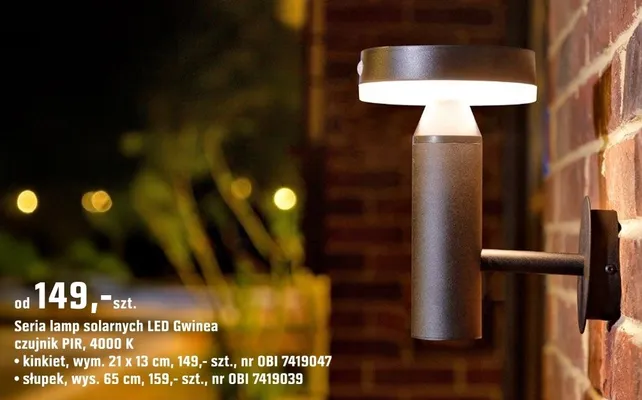 Seria lamp solarnych LED Gwinea czujnik PIR, 4000 K promocja w OBI