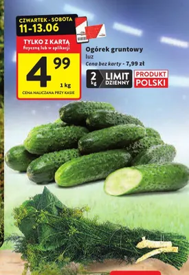 Ogórek gruntowy luz promocja w Intermarche
