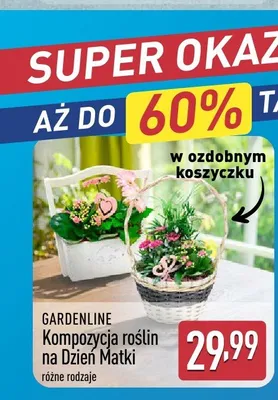 Kompozycja roślin na Dzień Matki w ozdobnym koszyczku GARDENLINE promocja w Aldi