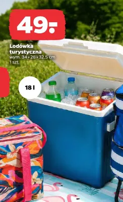 Lodówka turystyczna 18l 34x28x32,5cm promocja w Netto