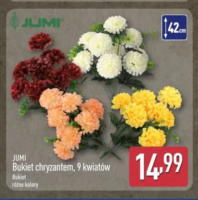 Bukiet chryzantem 9 kwiatów Jumi promocja w Aldi