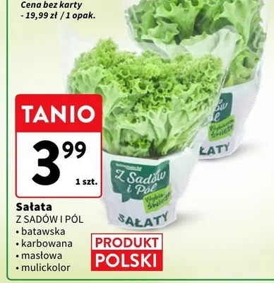 Sałata Z Sadów I Pól - batawska, karbowana, masłowa, mulitklolor promocja w Intermarche
