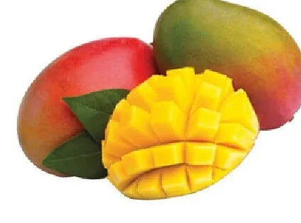 Mango promocja w SPAR