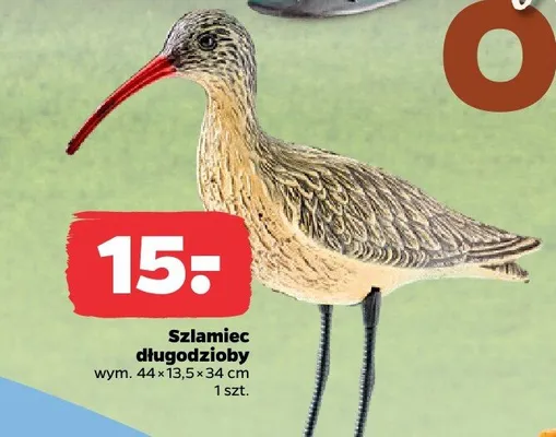 Szlamiec długodzioby promocja w Netto