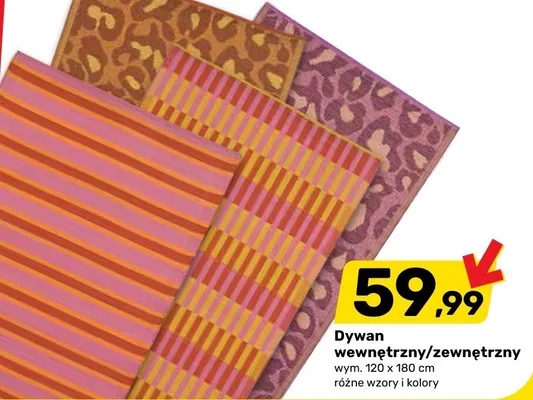 Dywan wewnętrzny/zewnętrzny 120x180cm różne wzory i kolory promocja w Bricomarche