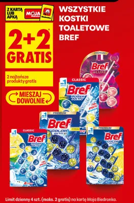 Kostki toaletowe Power Aktiv promocja w Biedronka