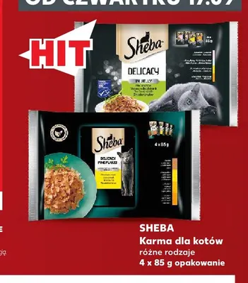 Karma dla kotów Sheba 4-pak promocja w Kaufland
