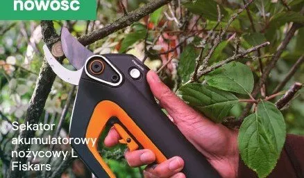 Sekator akumulatorowy nożycowy L promocja w Castorama