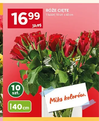 Róże cięte 40cm promocja w Stokrotka