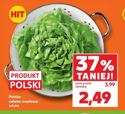 Sałata masłowa polska promocja w Kaufland