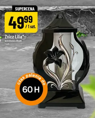 Znicz Lilia promocja w POLOmarket
