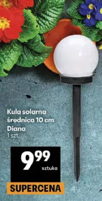 Kula solarna średnica 10 cm promocja w Delikatesy Centrum