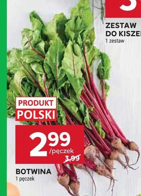 Botwina promocja w Stokrotka