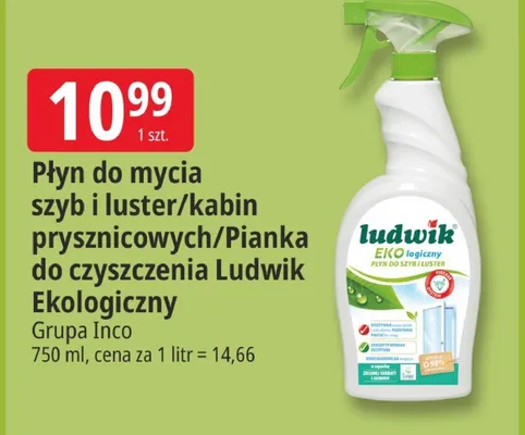 Płyn do mycia szyb i luster/kabin prysznicowych/Pianka do czyszczenia Ludwik Ekologiczny promocja w Leclerc