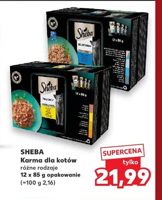 Karma dla kotów Sheba 12-pak promocja w Kaufland