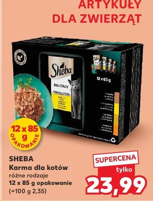 Karma dla kotów różne rodzaje promocja w Kaufland