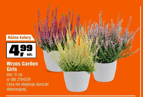 Wrzos Garden Girls promocja w OBI
