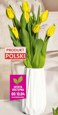 Tulipan bukiet - 7 szt. promocja w POLOmarket