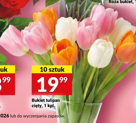 Bukiet tulipan cięty 10-pak promocja w Twój Market