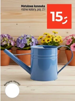 Metalowa konewka różne kolory promocja w Dealz