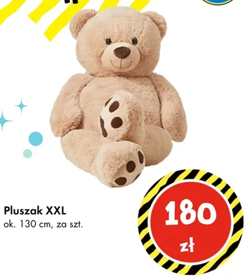 Pluszak XXL promocja w Tedi