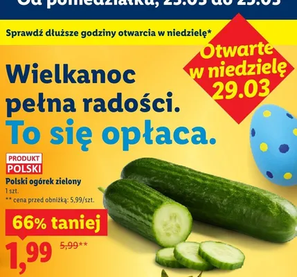 Ogórek zielony polski promocja w Lidl