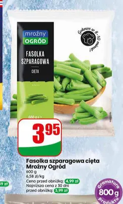 Fasolka szparagowa cięta Mroźny Ogród promocja w Dino