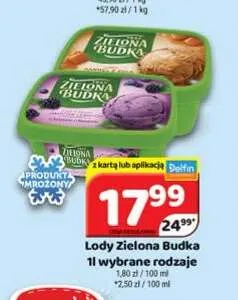 Lody Zielona Budka promocja w Delfin