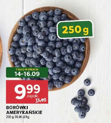 Borówki amerykańskie promocja w Stokrotka